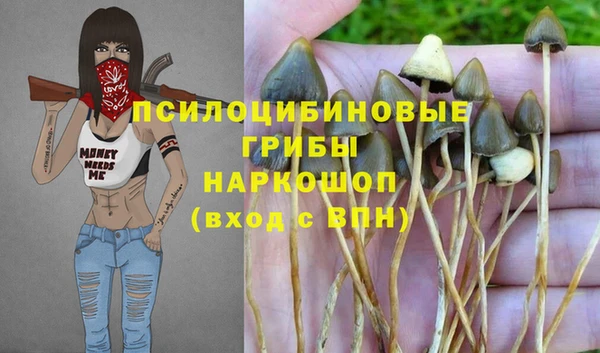 дмт Алексин