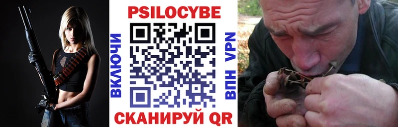 Псилоцибиновые грибы Psilocybe  как найти закладки  Чебаркуль 