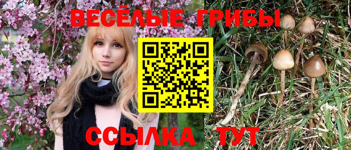 Галлюциногенные грибы Magic Shrooms Чебаркуль